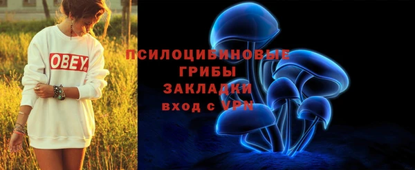 Альфа ПВП Богородск