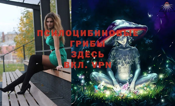 Альфа ПВП Богородск
