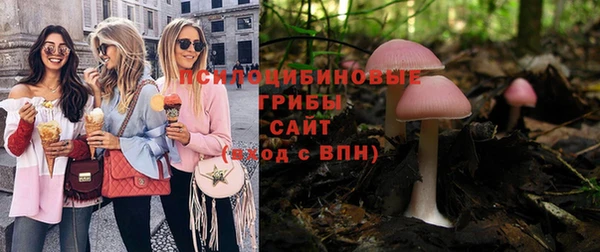 Альфа ПВП Богородск