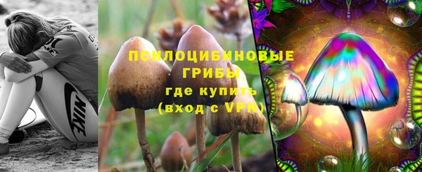 ГАЛЛЮЦИНОГЕННЫЕ ГРИБЫ Богородицк